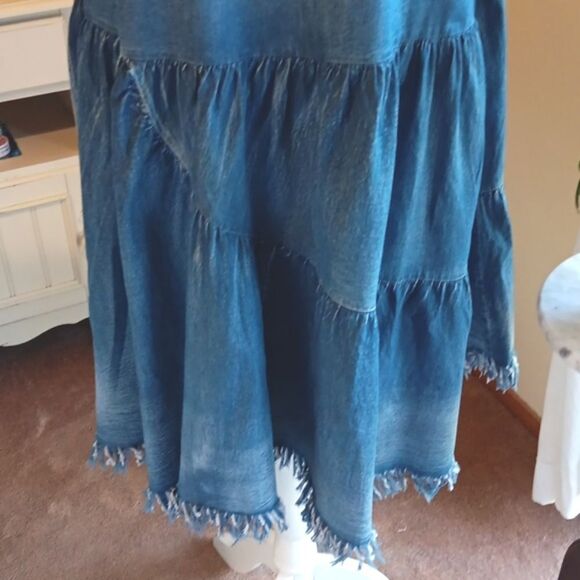 Easel Chambray Denim Dress - Picture 3 of 12